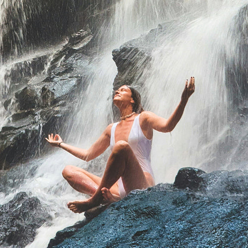 The Power of Synergy: How Urolithin A & L-Ergothioneine Work Together to Support Energy, Longevity, and Cellular Renewal | Renue Life